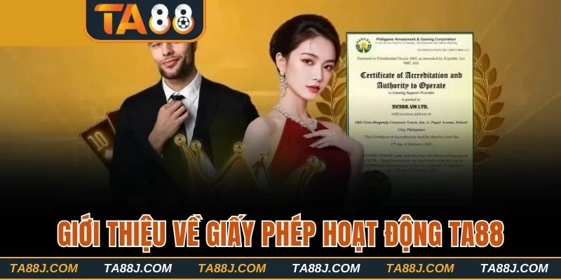 Giới thiệu về giấy phép hoạt động TA88