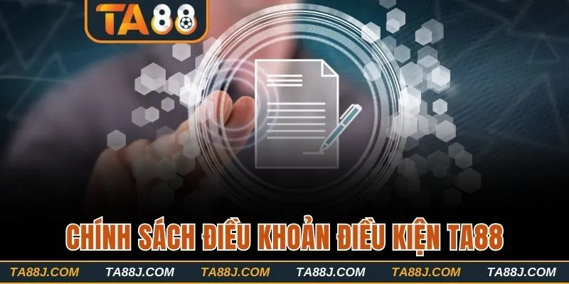 Tổng quan về chính sách